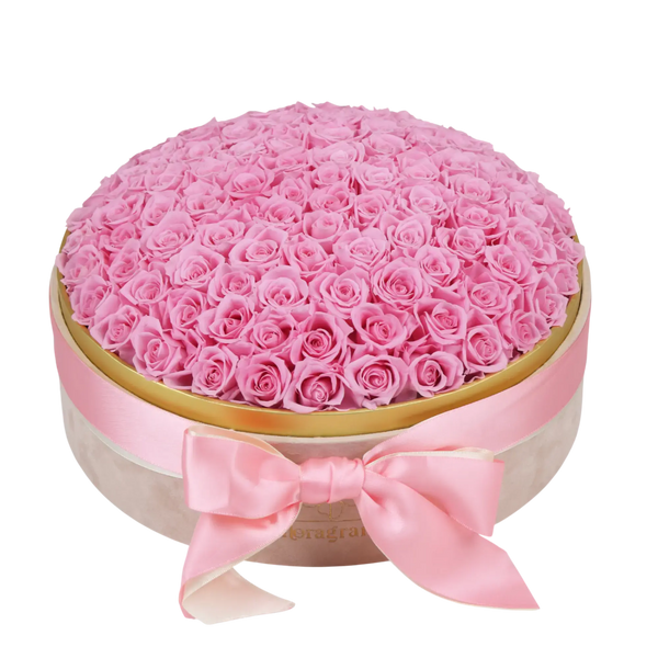 Couple gifting Floragram 100 pink preserved roses — romantic gift Canada