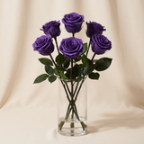 Six purple long stem preserved roses arranged in a clear glass vase