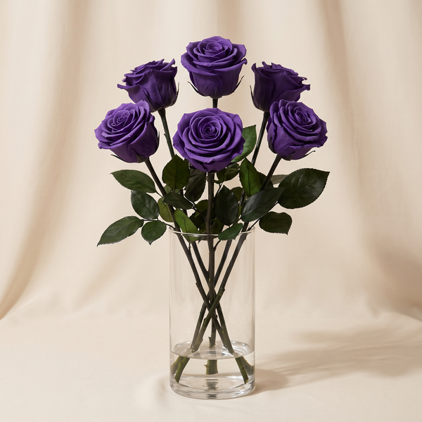 Six purple long stem preserved roses arranged in a clear glass vase