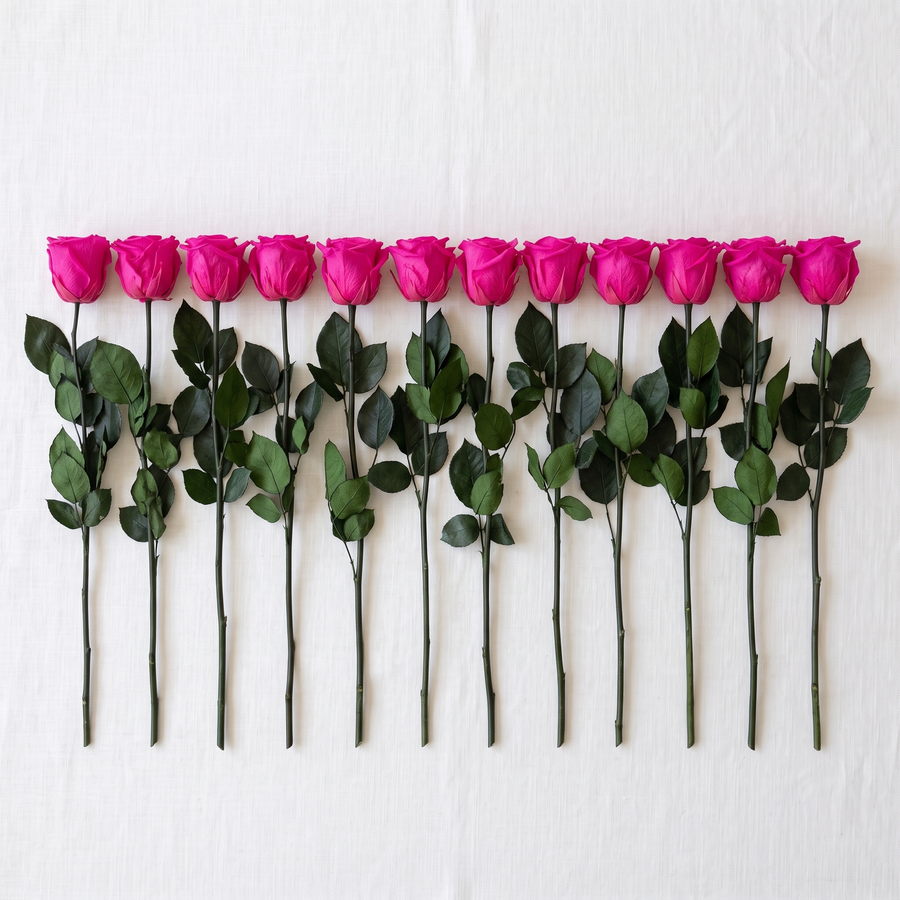 Fuchsia long stem preserved roses laid flat in a row on linen