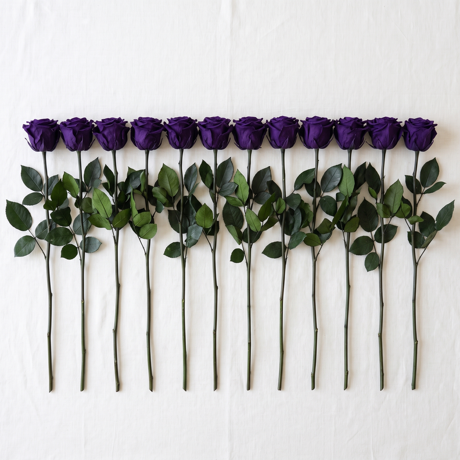 Twelve purple long stem preserved roses laid flat in a row on linen