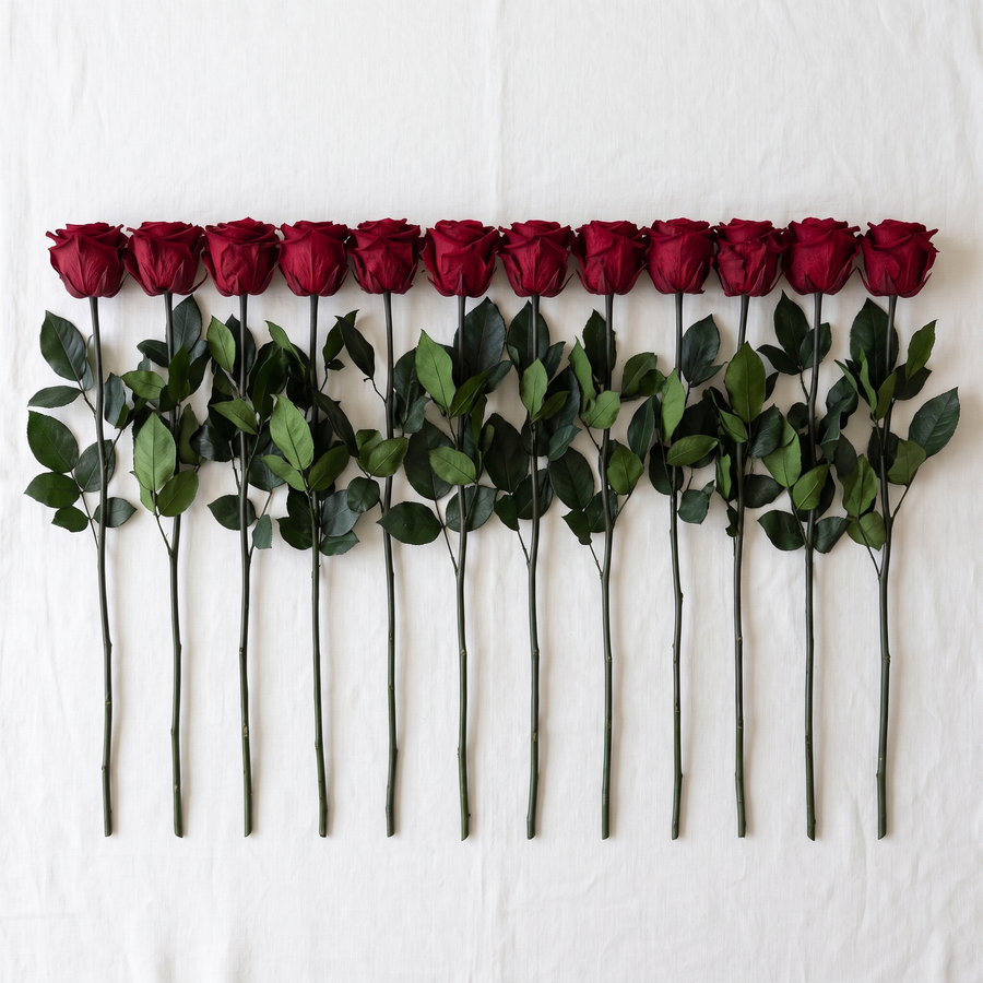 Twelve dark red long stem preserved roses laid flat in a row on linen