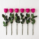 Six fuchsia long stem preserved roses laid flat in a row on linen