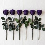 Six purple long stem preserved roses laid flat in a row on linen