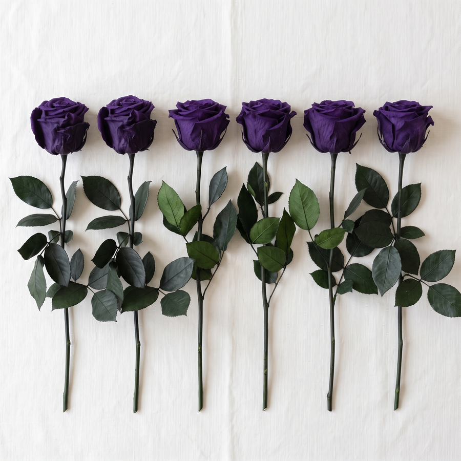 Six purple long stem preserved roses laid flat in a row on linen