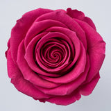 Long Stem Forever Roses Floragram