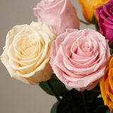 Long Stem Forever Roses Floragram